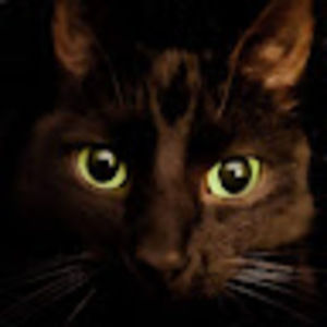 Meet your Posher, Coty